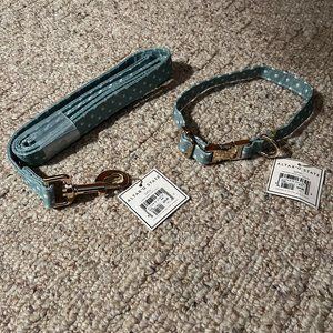 NWT Altar'd State Dog Leash and Collar